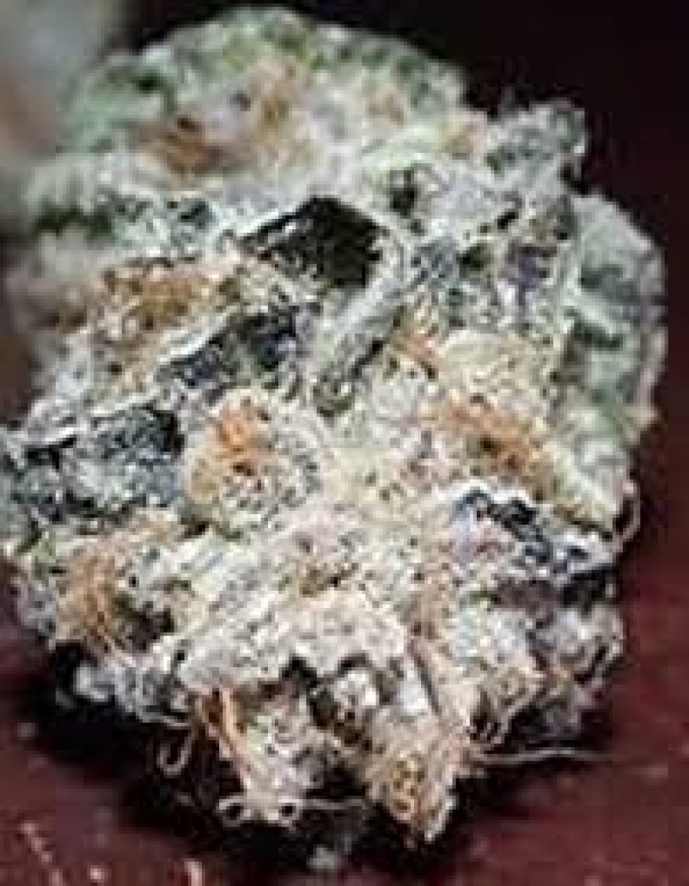 Face Off OG (PR)