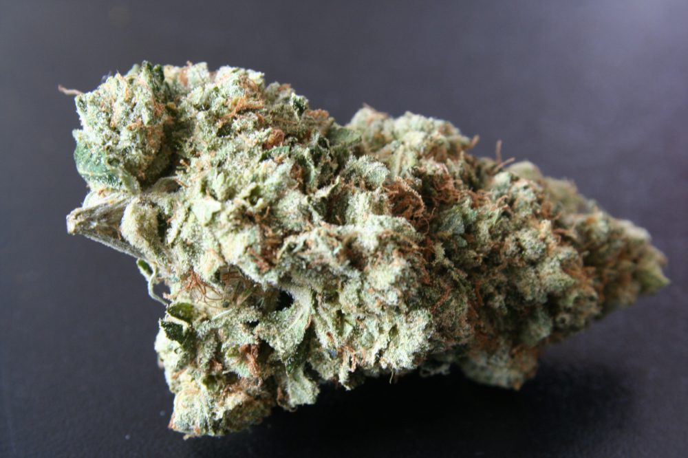 Larry OG (PR)